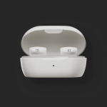 Bose QuietComfort Earbuds White Case