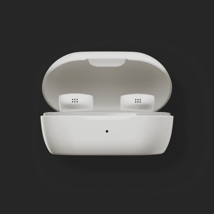 Bose QuietComfort Earbuds White Case